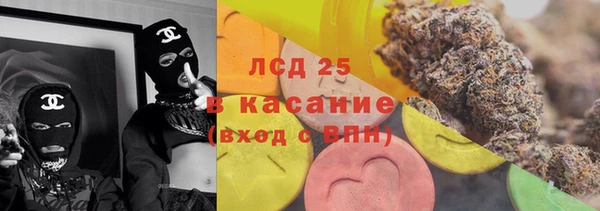 индика Кулебаки