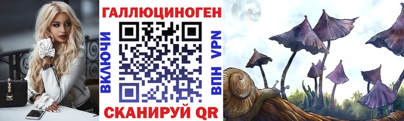 Псилоцибиновые грибы Psilocybe  Купить где  Юрюзань 